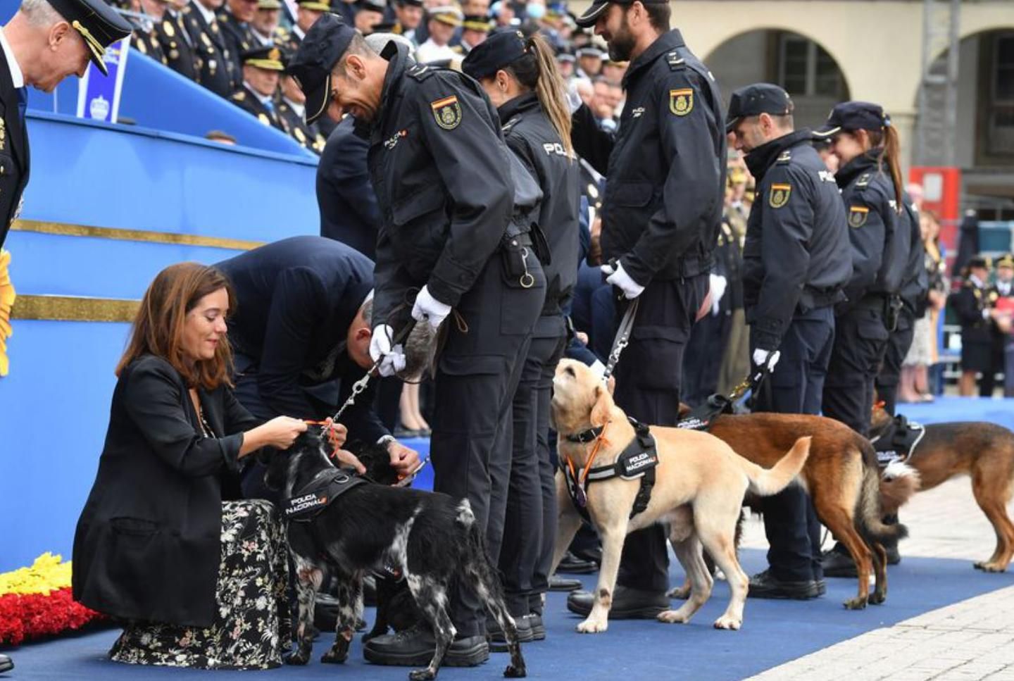 La alcaldesa, Inés Rey, condecora a un perro guía.