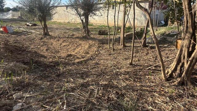 Los terrenos cerca del carril de los Silvestres donde se encontraba la noria de sangre.