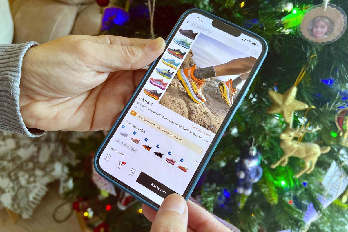 Un ciutadà fent una compra en línia amb un telèfon mòbil