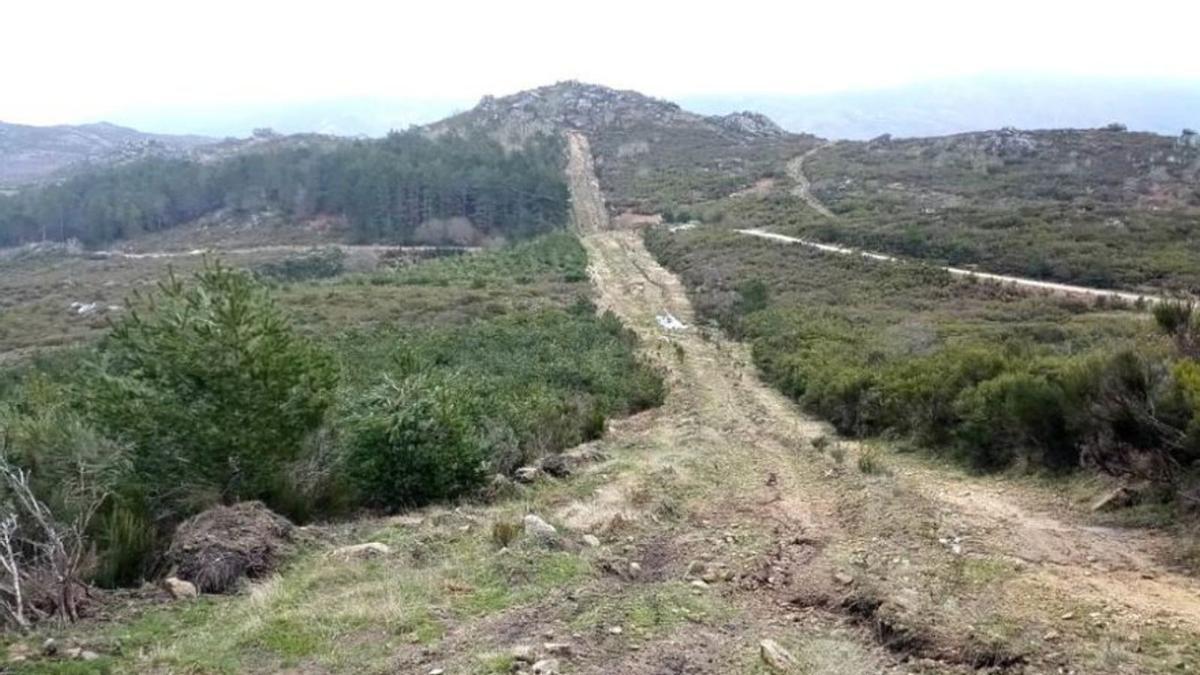 Montes de A Boullosa, PE San Martiño.  |  // FDV