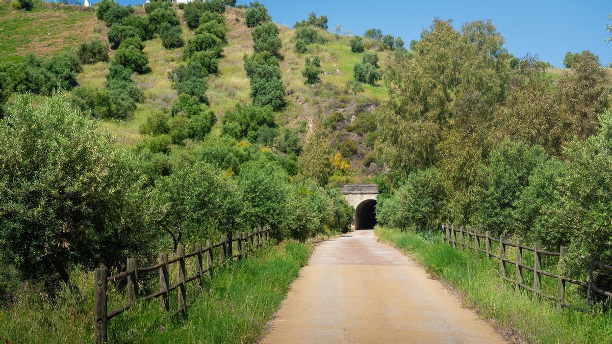 Esta es la Vía Verde favorita de los españoles: 128 kilómetros que atraviesan un mar de olivos