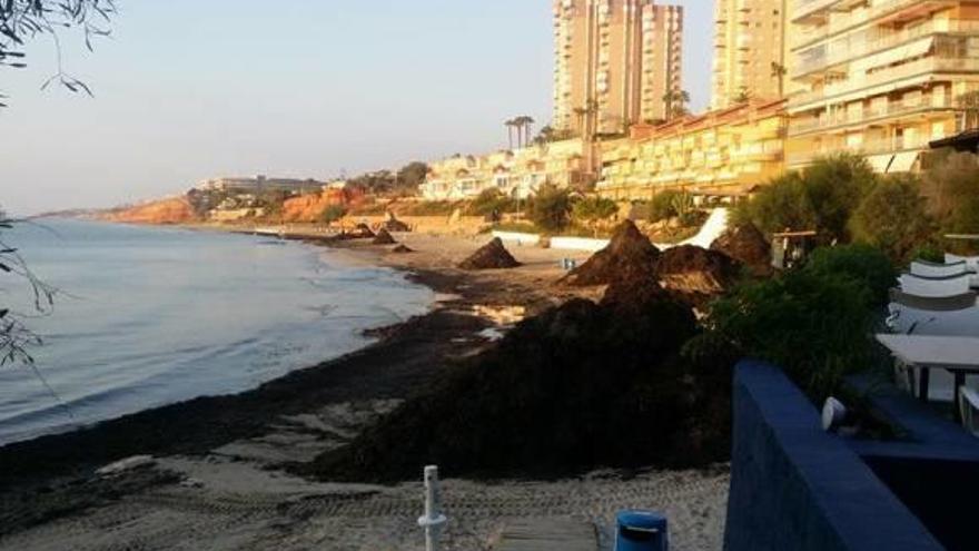 El Ayuntamiento ultima los trabajos de limpieza de playas  tras los estragos del temporal