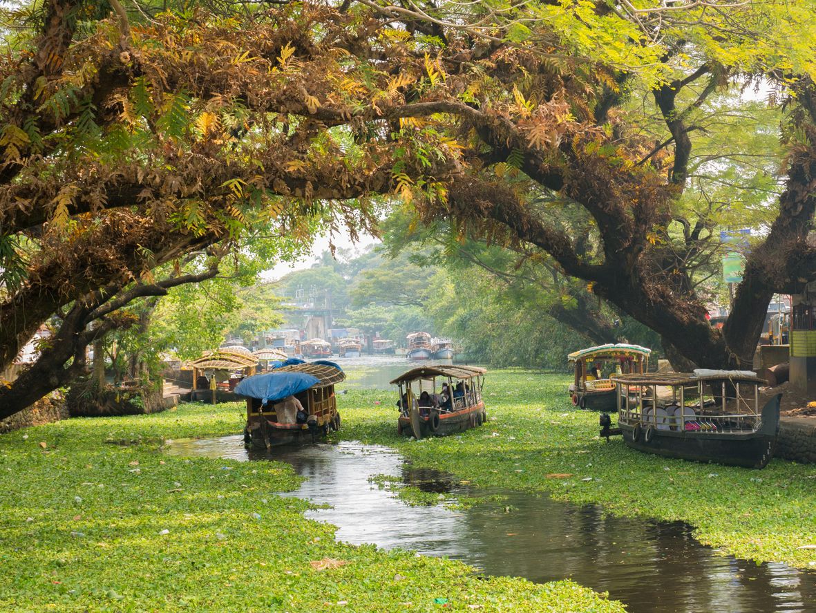 Casas flotantes en los remansos de Kerala, en Alappuzha.