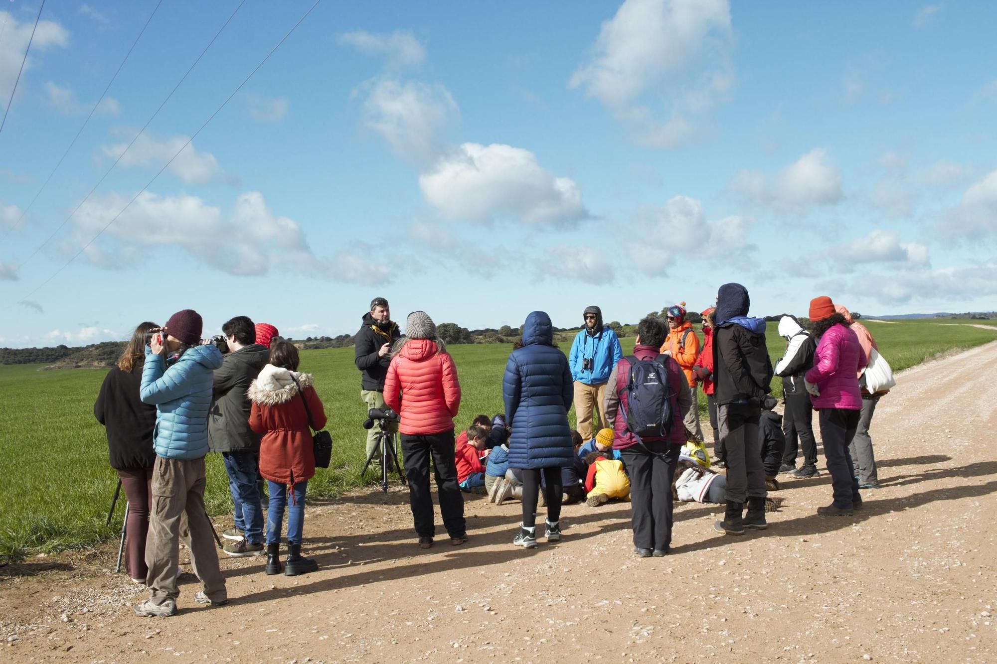 25.000 grullas levantan vuelo desde la alberca de Alboré