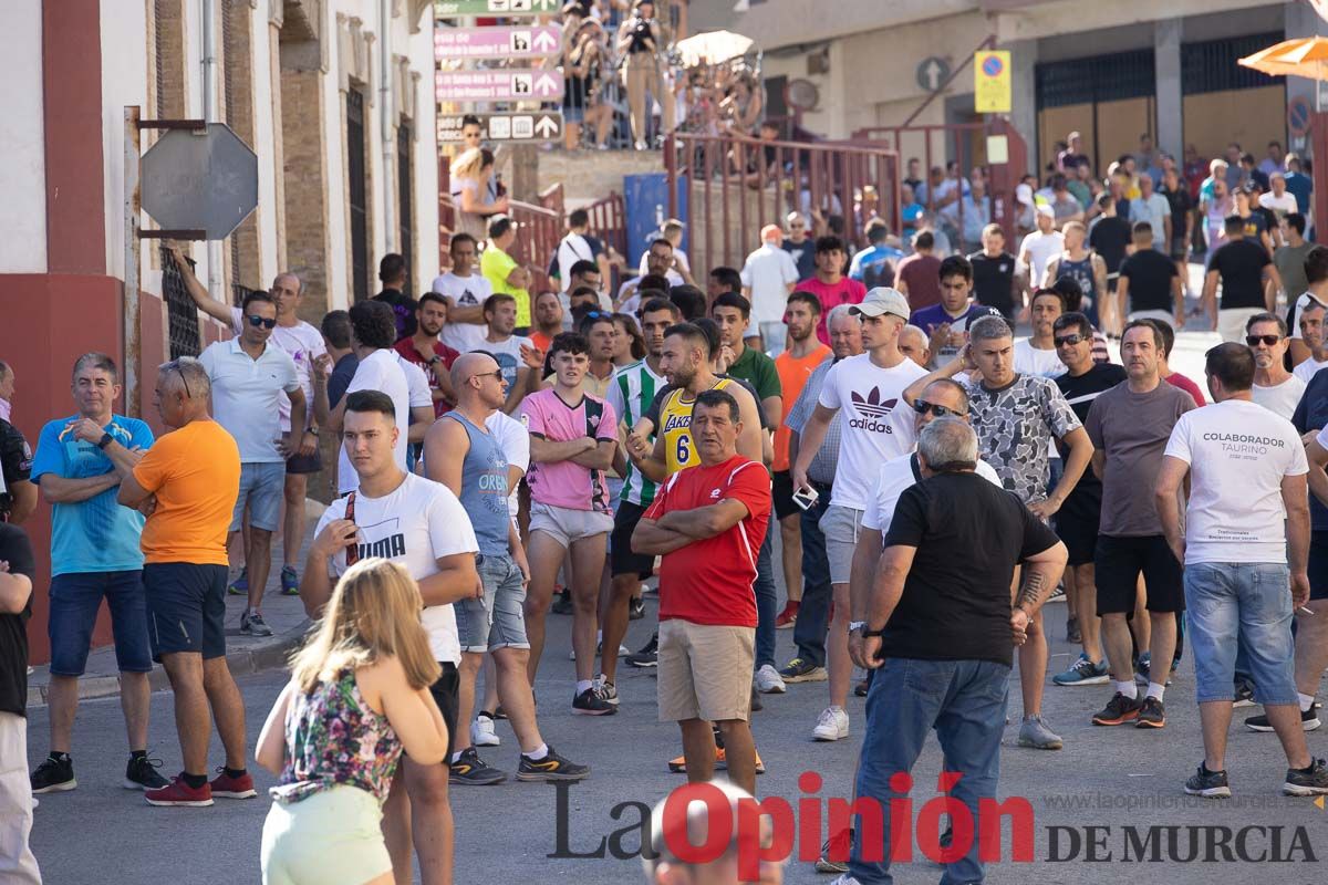 Último encierro en las Fiestas de Moratalla