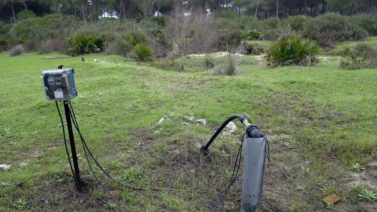 Captación ilegal de agua en una finca de La Rocina (Huelva).