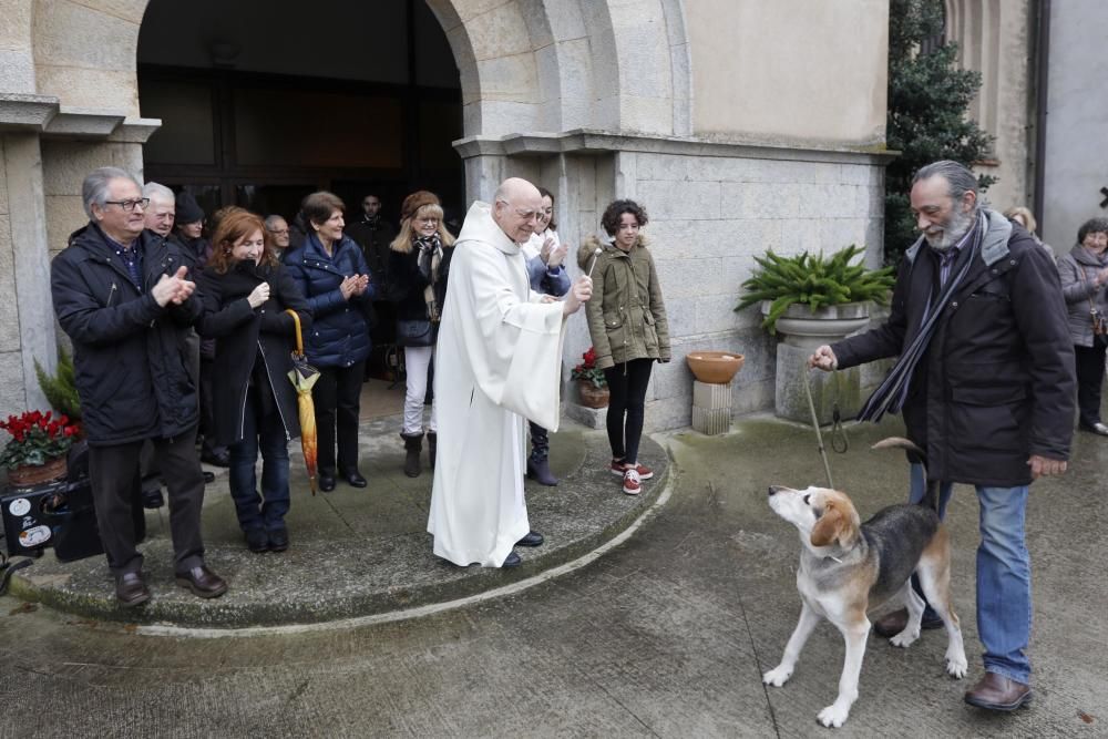 Benedicció dels animals per Sant Antoni a Girona