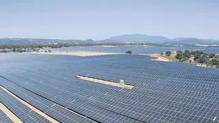 El Consell incorpora a 40 funcionarios para desbloquear los parques renovables