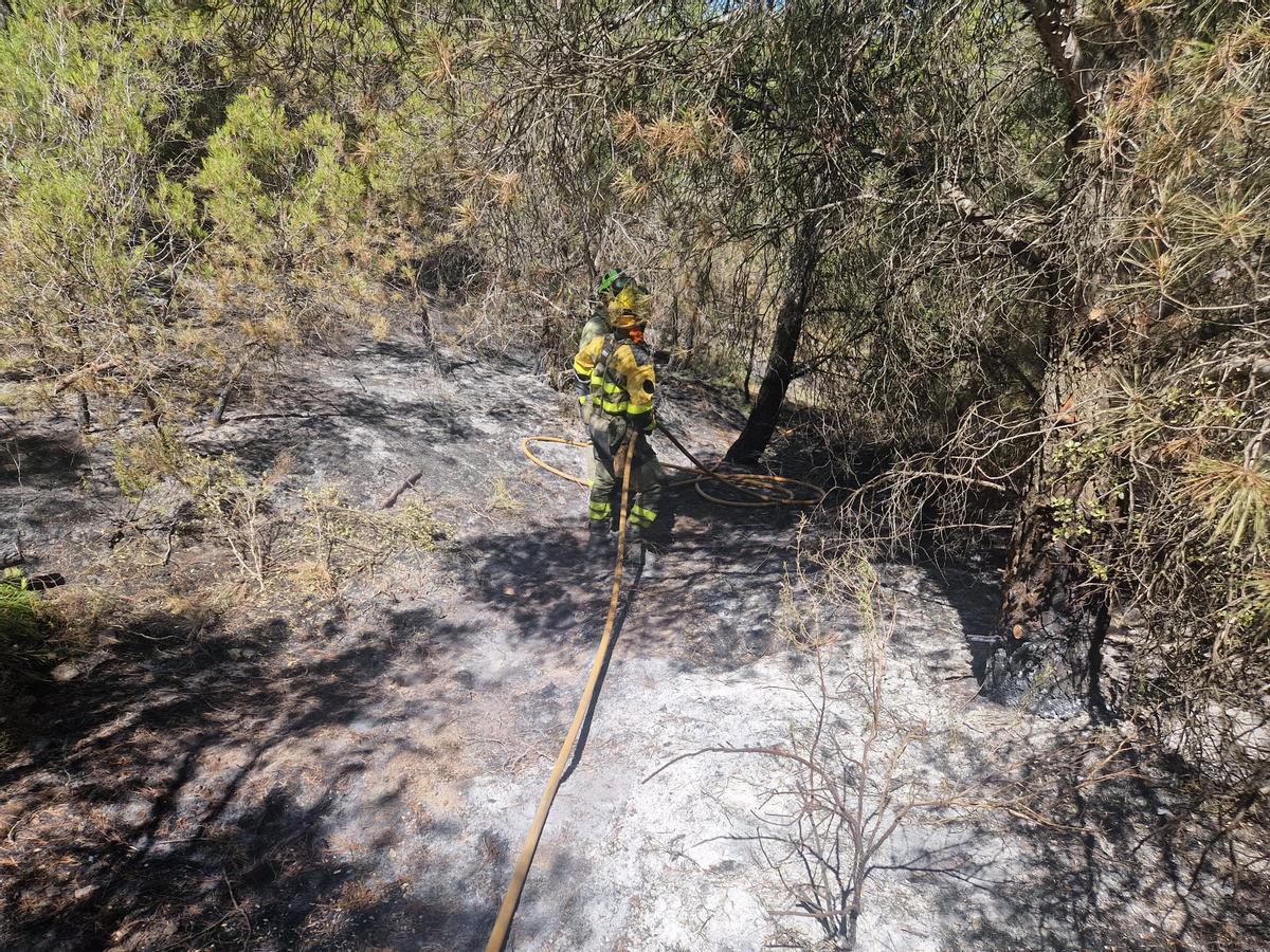 En imágenes I El operativo del Infoar en el sector 1 del incendio de Leciñena, este viernes En imágenes I El operativo del Infoar en el sector 1 del incendio de Leciñena, este viernes