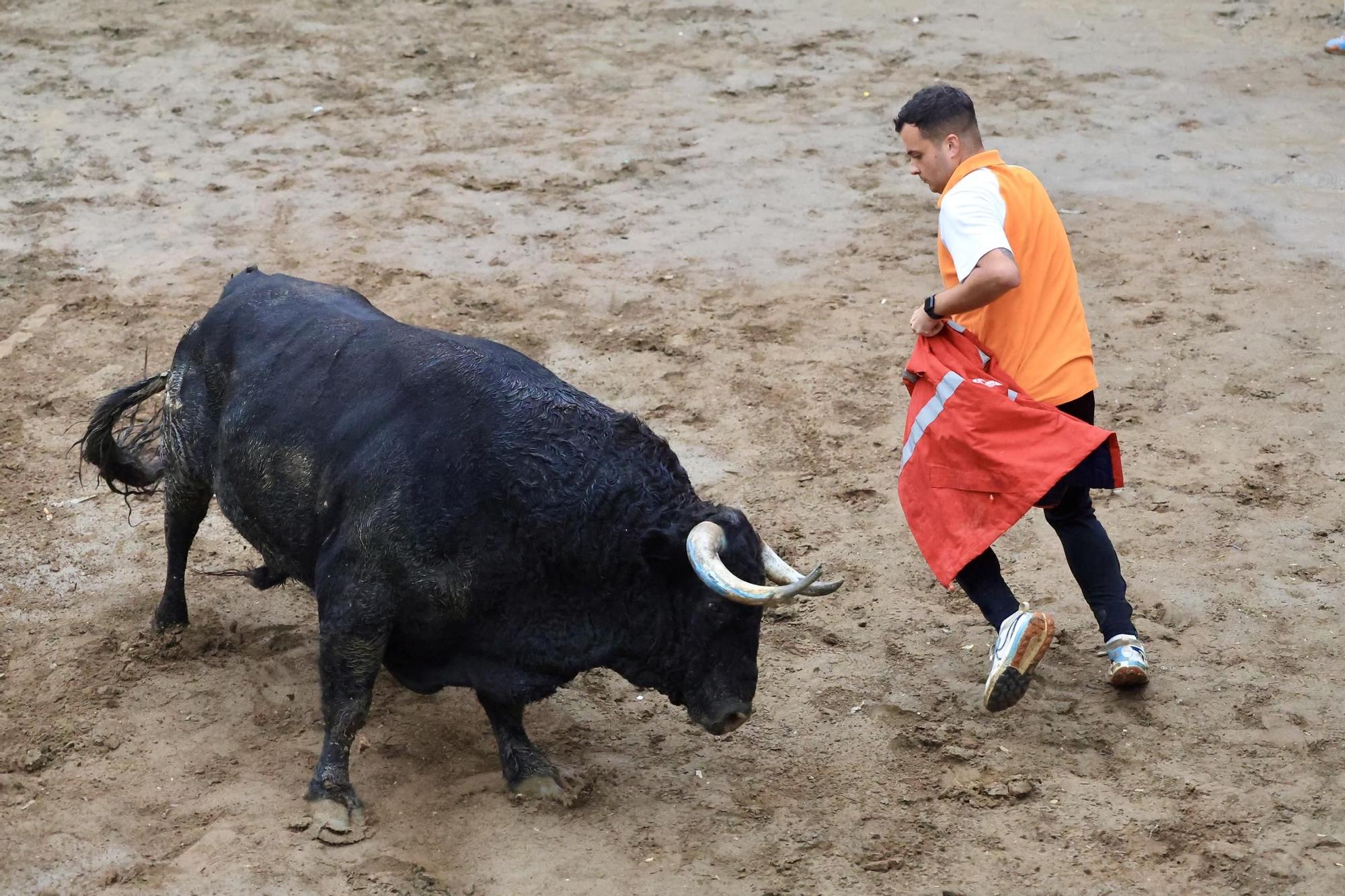 Galería de fotos de la penúltima tarde de toros de las fiestas del Roser en Almassora