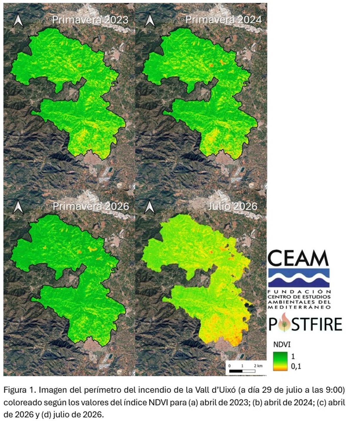 Caída del verdor de la vegetación en la zona quemada por el incendio de la Vall d'Uixó en los últimos cuatro meses.