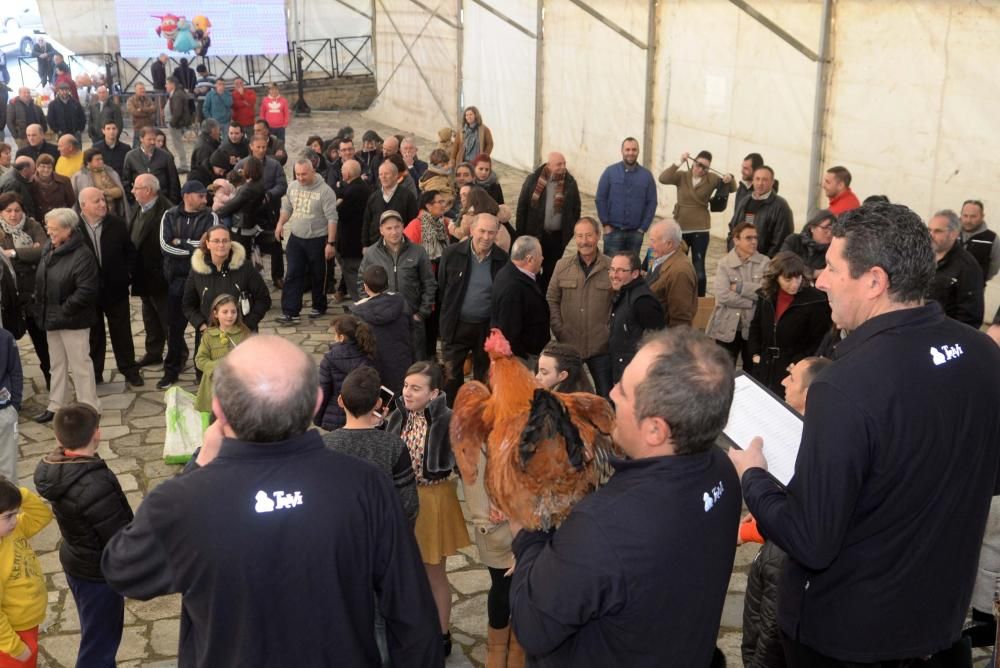 Palomas mensajeras y ofrendas para San Antón