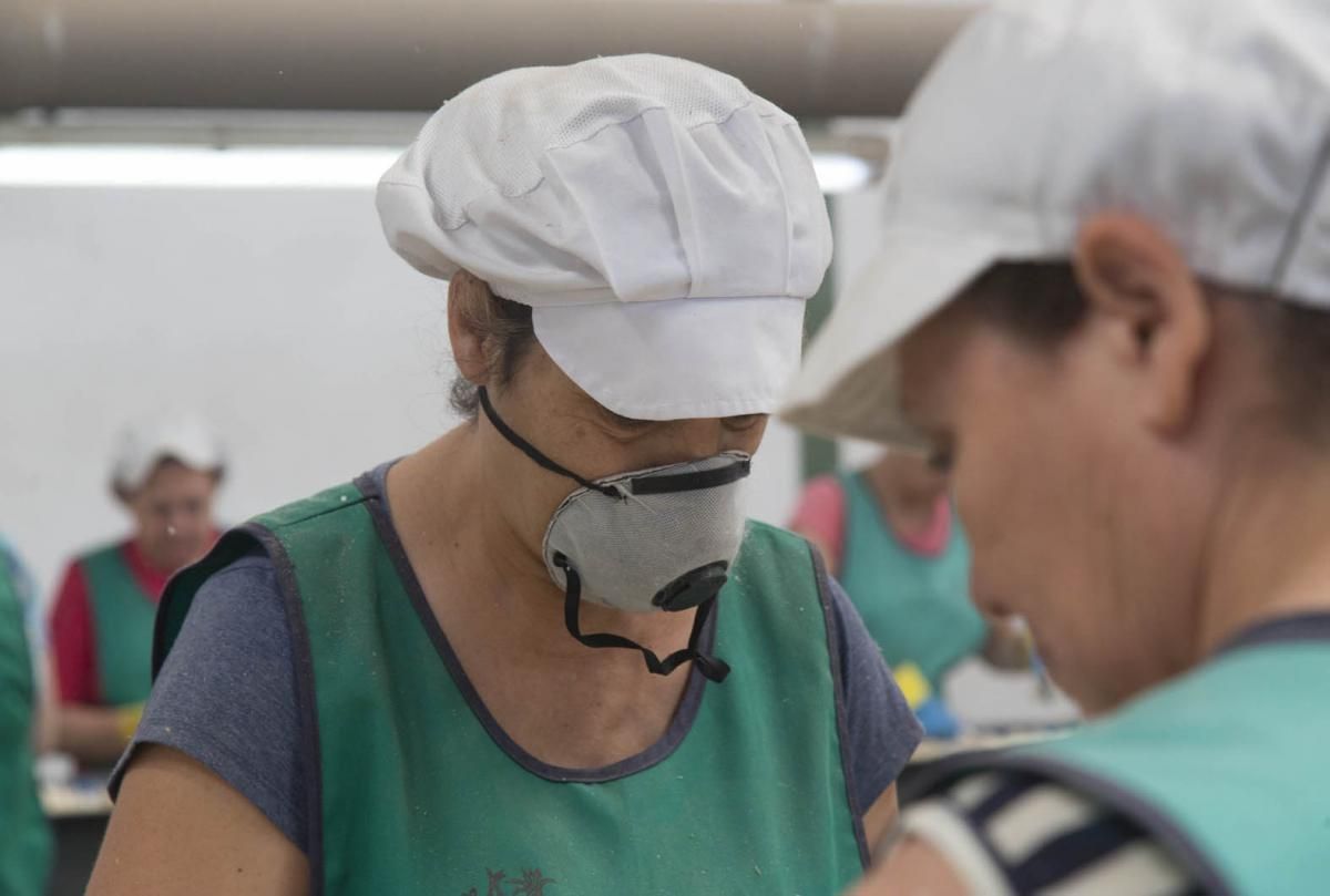 Fotogalería / De la tierra a la mesa; el ajo cordobés