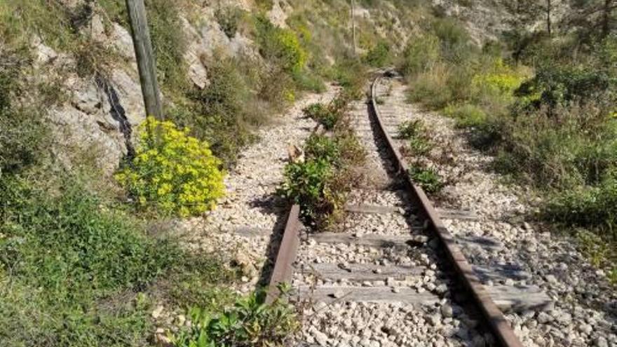 Imágenes de los túneles del tramo entre Teulada y Gata de Gorgos, donde la maleza ya se adueña de la vía. A la derecha, la entrada a un túnel con un machón que sujeta la montaña.