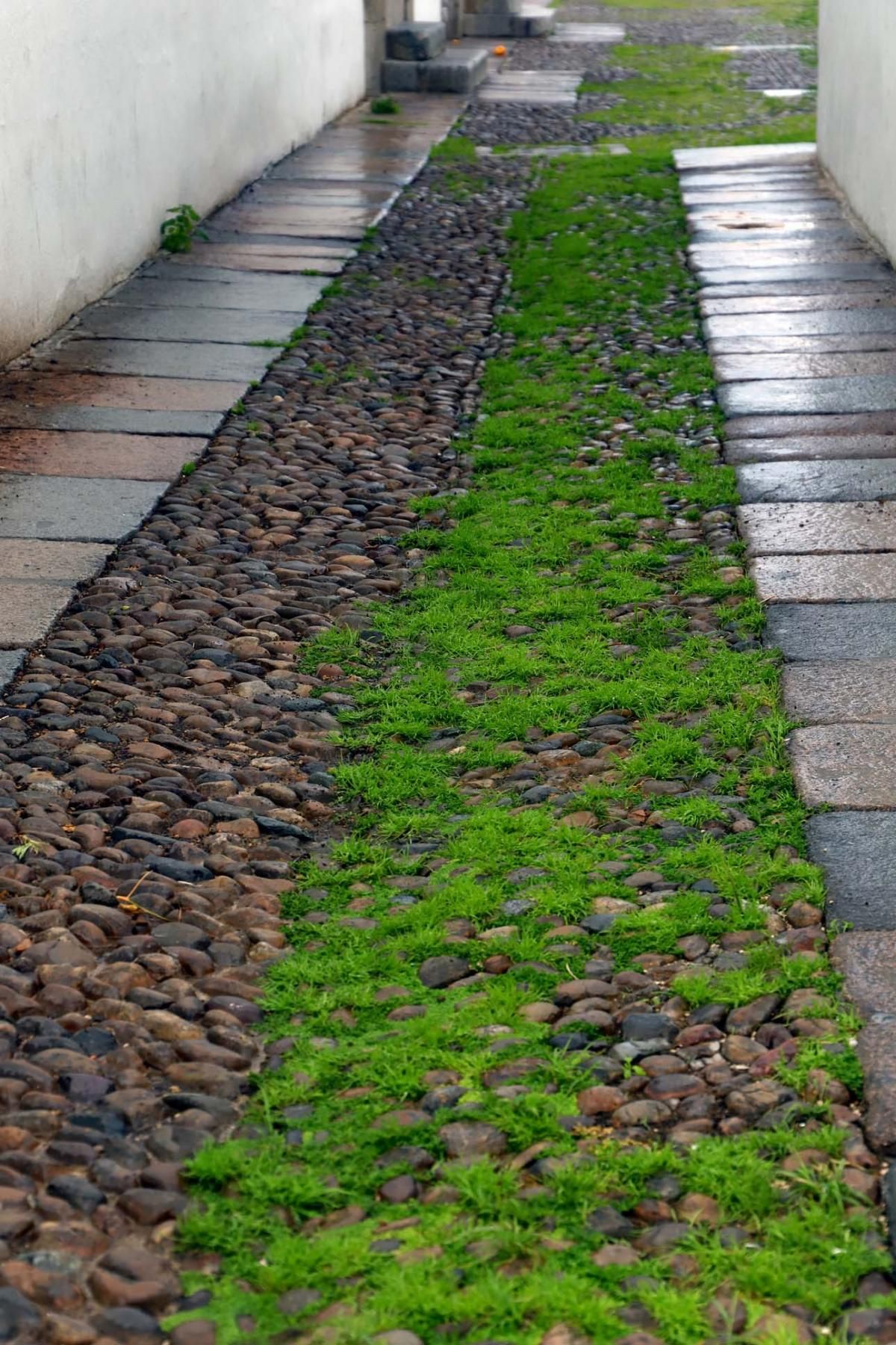 El día en el que reinó el verde