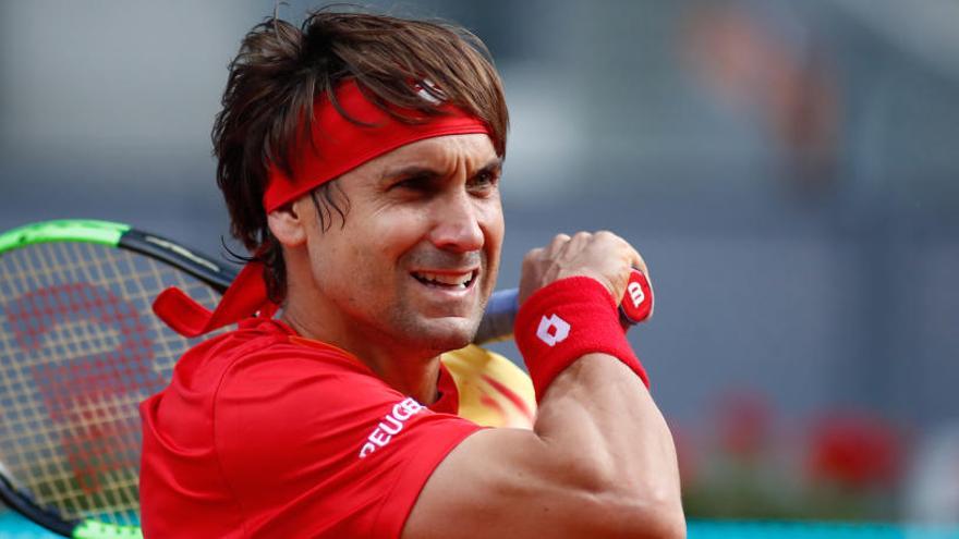 David Ferrer.