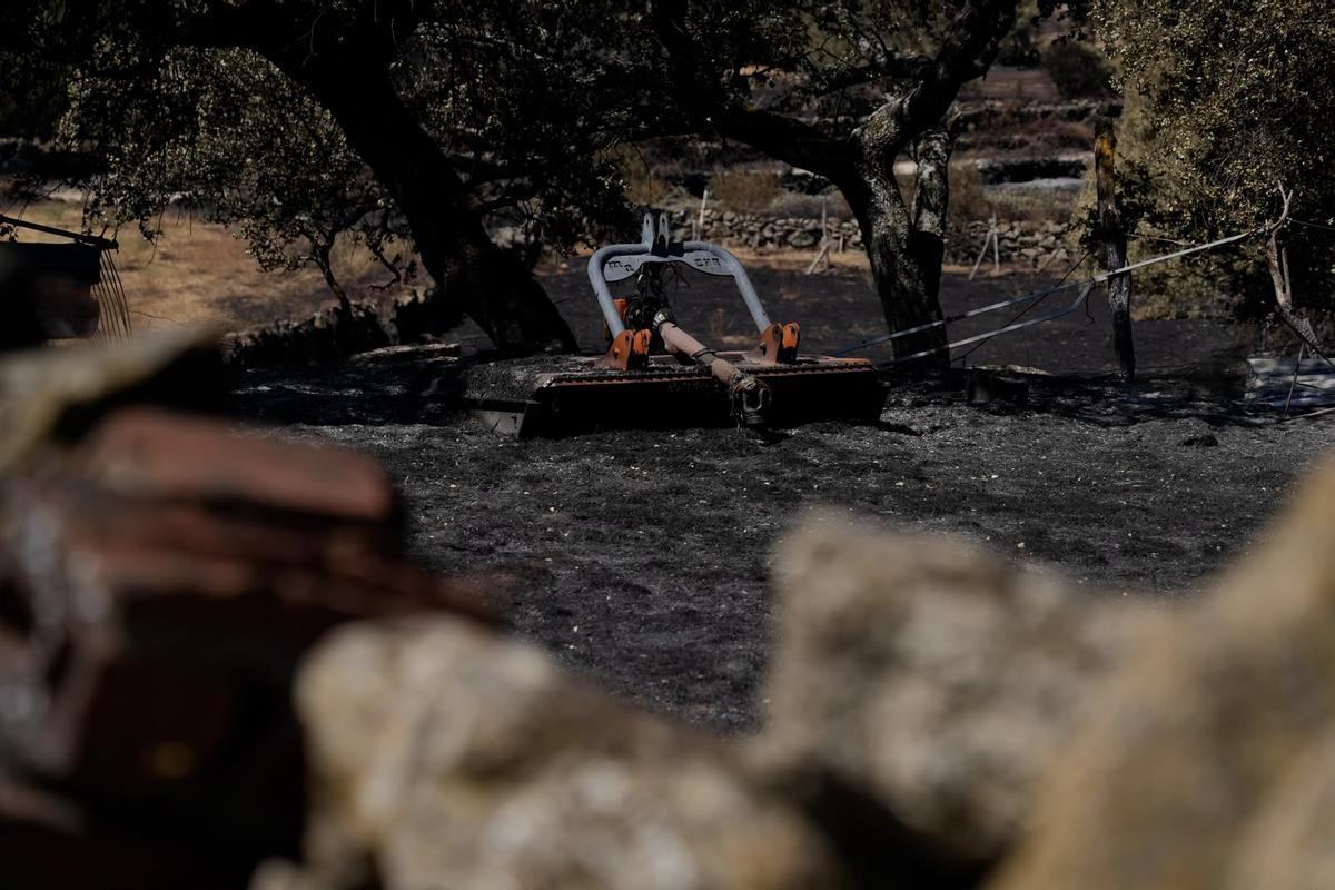 GALERÍA | El paso del fuego por Mámoles arrasa la explotación de Alfredo Fernándes