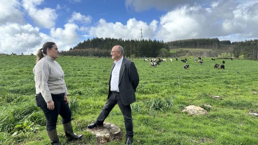 Abel Losada y María Manteiga, en una de las fincas de la granja.