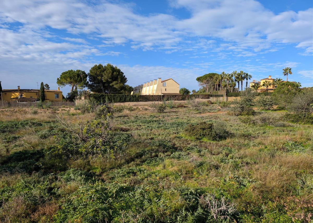 Solar en los aledaños del PAI R-13 de Bétera