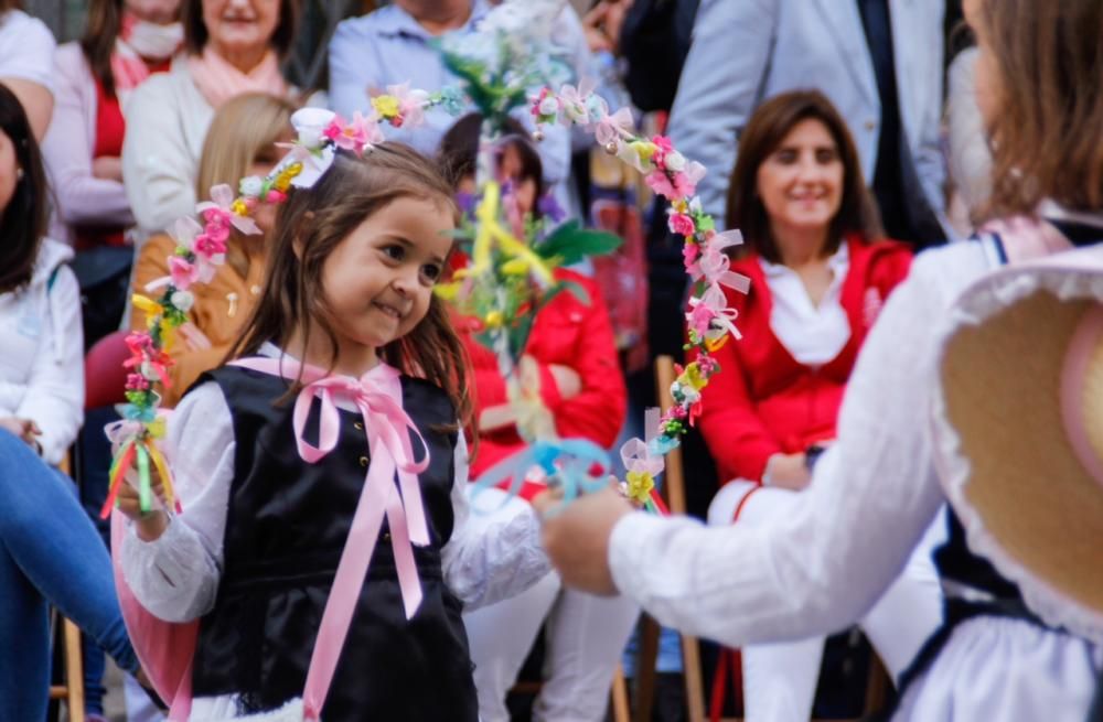 Festes de Sant Pasqual en Vila-real 2016