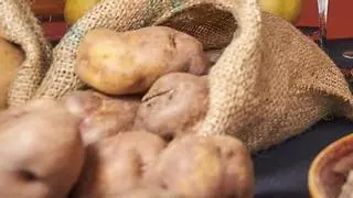 Piden incentivar el cultivo de papas para depender menos de las importaciones