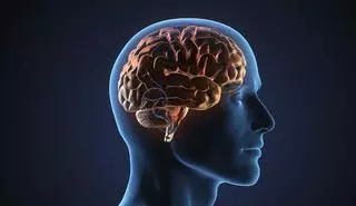 Daño cerebral, ¿cómo se trata?