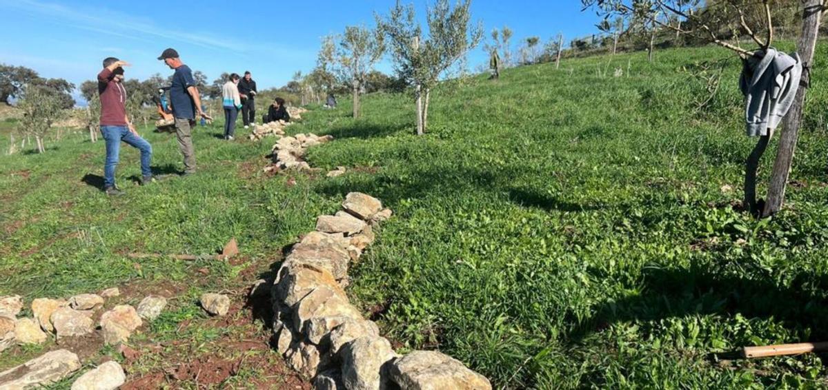 Actuaciones de mejora de geodiversidad y biodiversidad. | L.O.