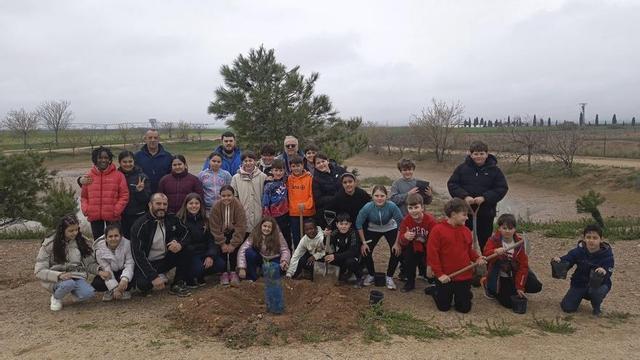 Se plantaron 500 pinos en el paraje del alto del Rechulino.