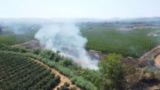 La Pobla Llarga refuerza la vigilancia tras el segundo incendio del verano en el Barranc de Barxeta