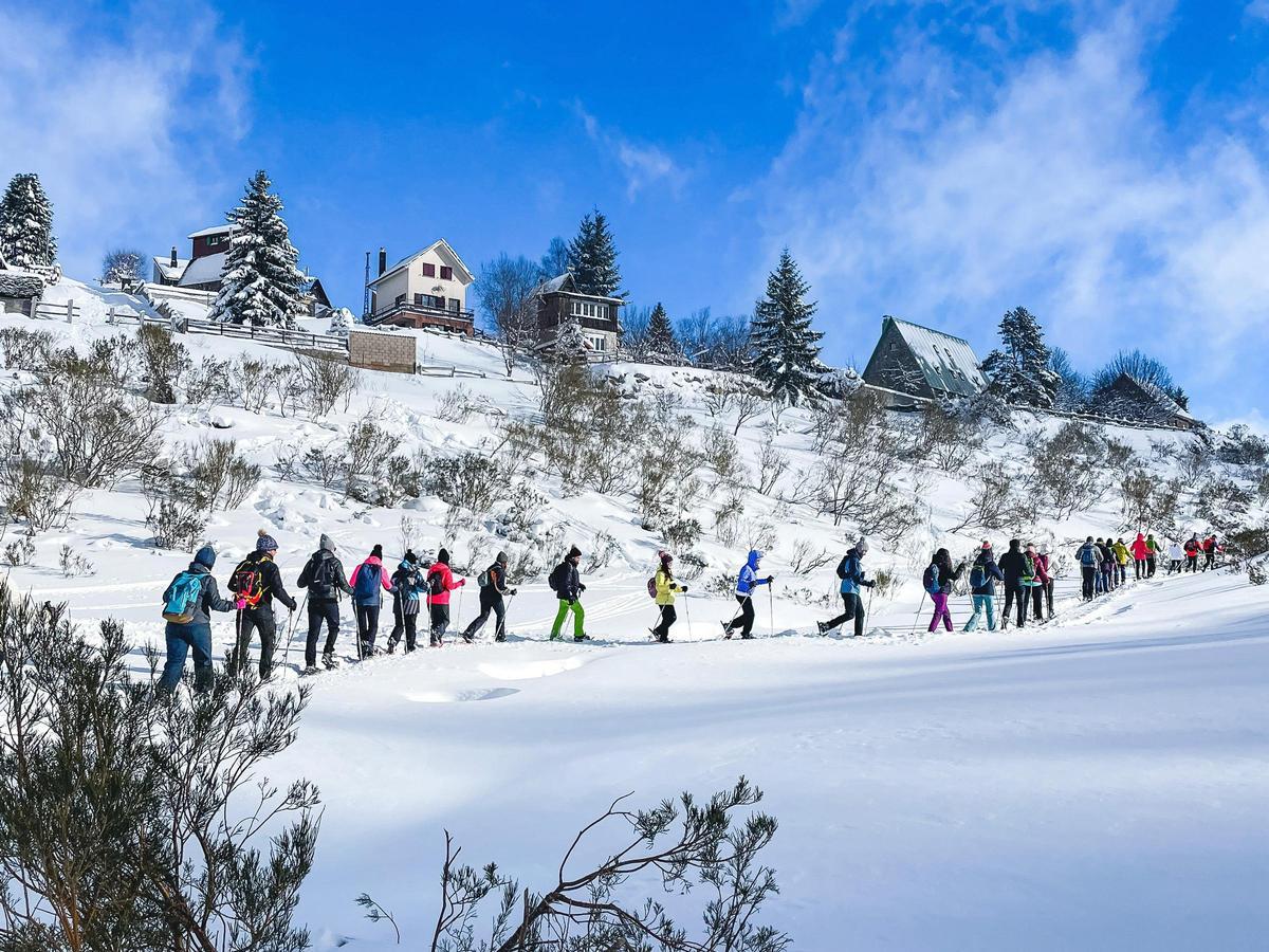 Los participantes en la ruta con raquetas por la nieve, el pasado domingo, en un tramo de la senda.