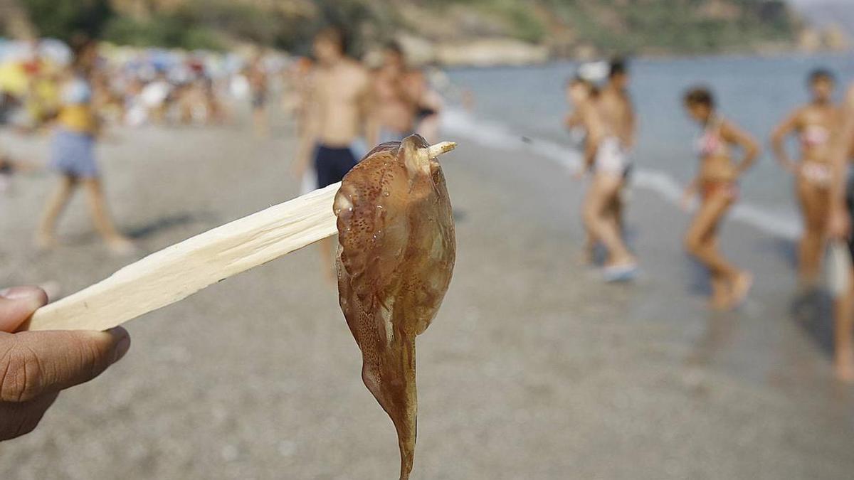 Medusas en la costa occidental de Málaga.