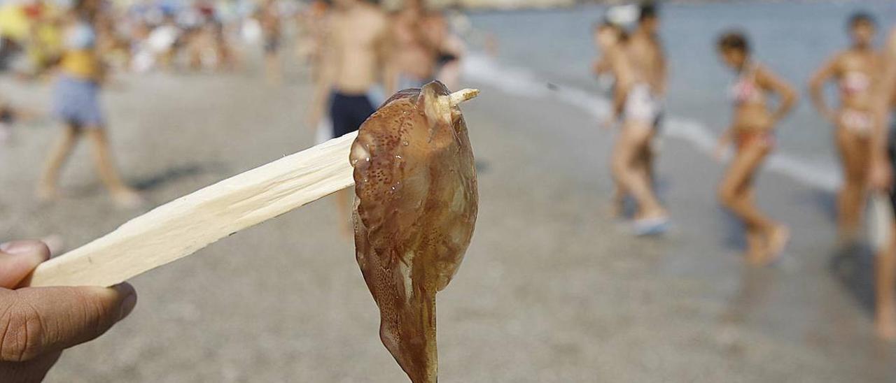 Medusas en Málaga | Vuelven las medusas a las playas de Málaga