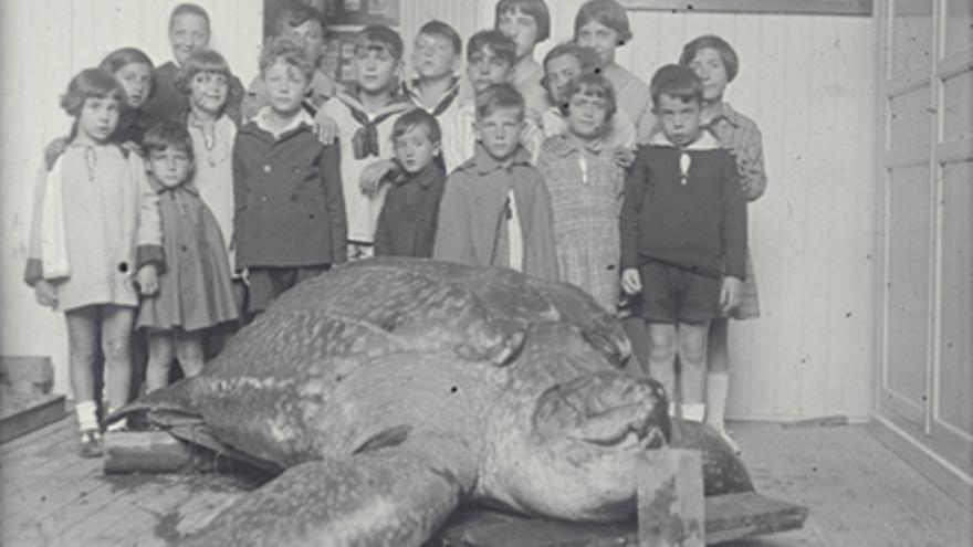 Niños posando con la tortuga laúd en las instalaciones del Museo.