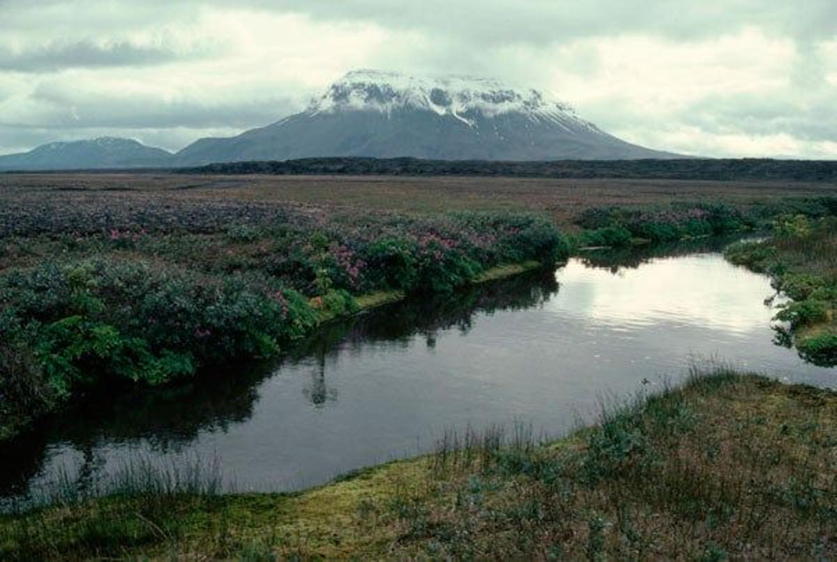 Oasis de Herðubreiðarlindir, en Islandia.