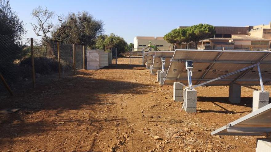 Instalaciones de autoconsumo compartido en Ses Salines. | CAIB