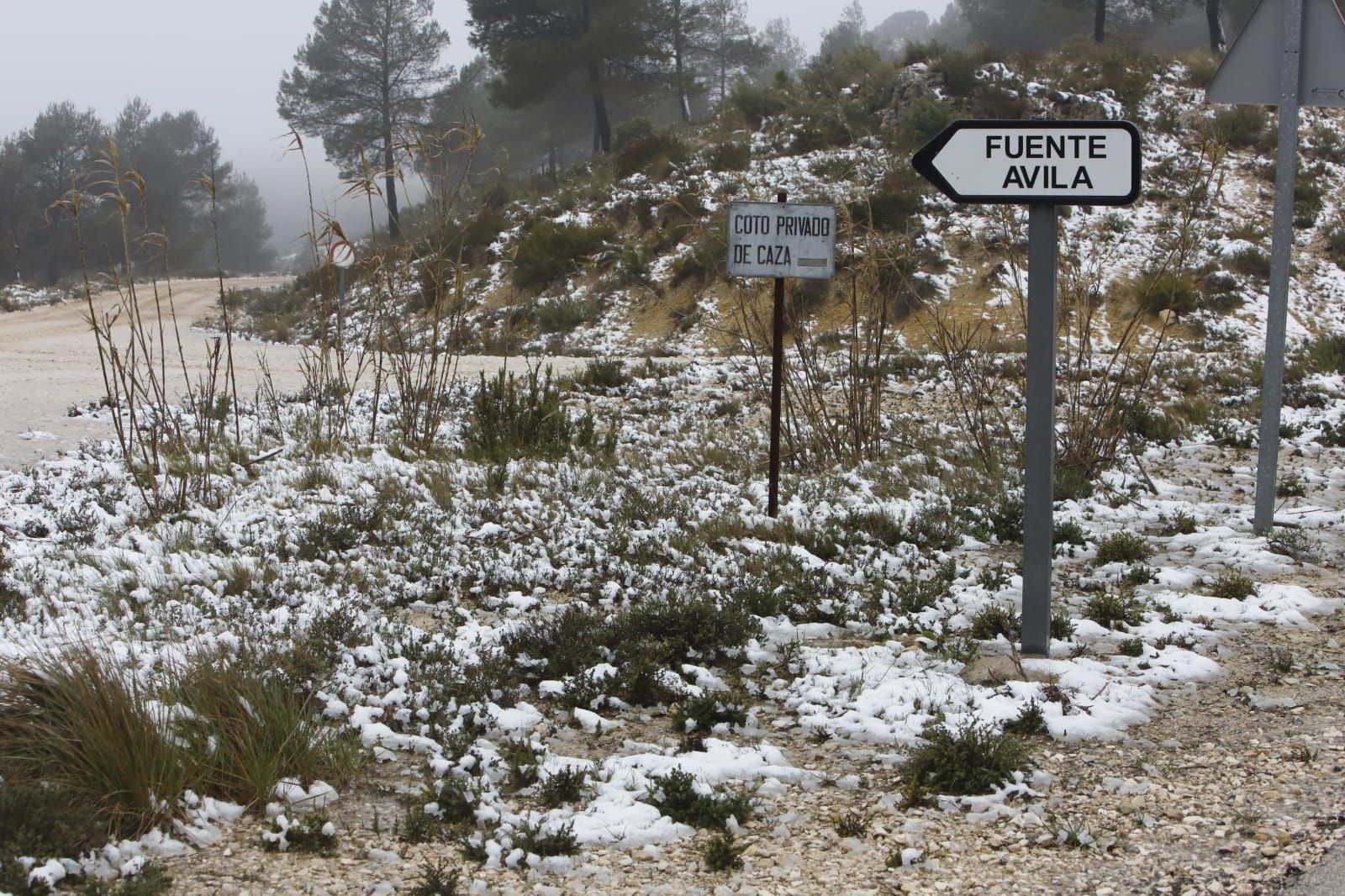 La nieve llega a Enguera