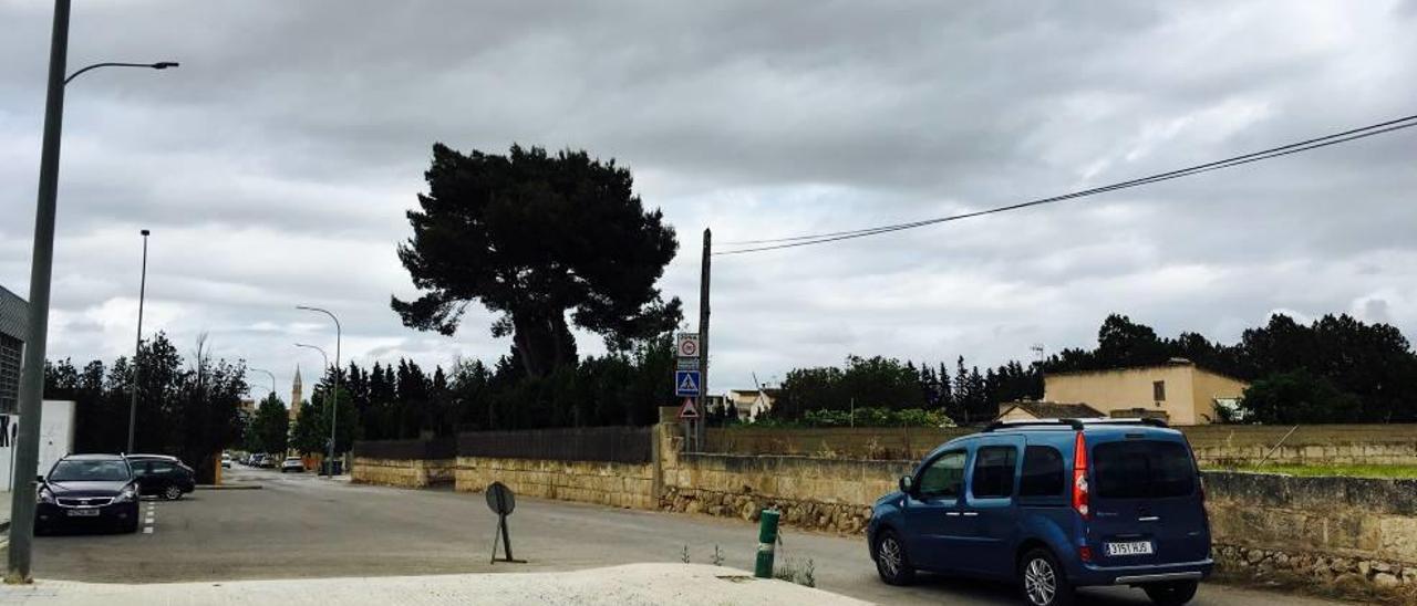 Panorámica de la zona del barrio de son Fangos donde se sitúa la zona verde a expropiar.