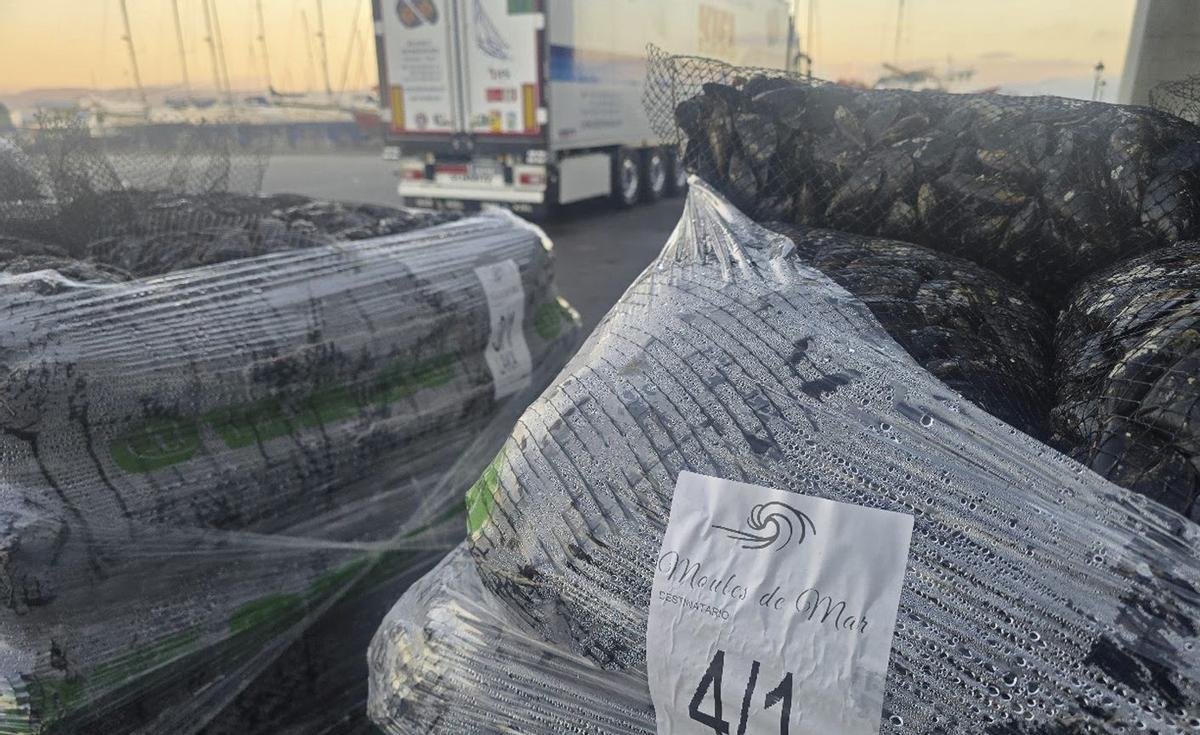 Un camión con mejillón de las rías de Vigo, Pontevedra y Arousa enviado a Francia. |  M. Méndez
