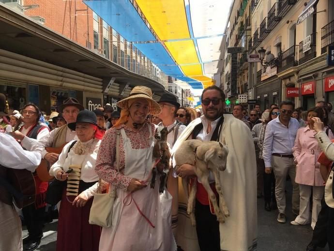 Romería de la Casa de Canarias en Madrid