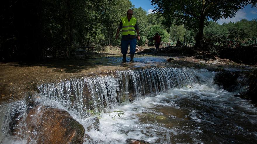 El río Rubín en Monterrei tras las últimas tormentas // Brais Lorenzo