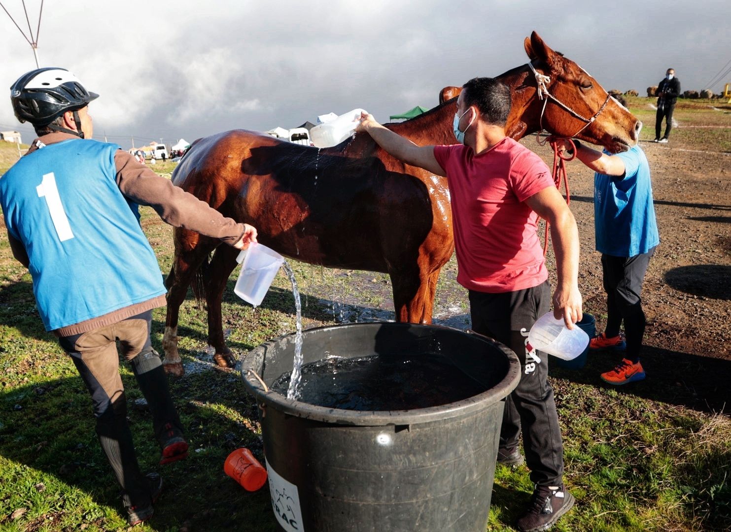 Un equipo refresca a uno de los caballos participantes
