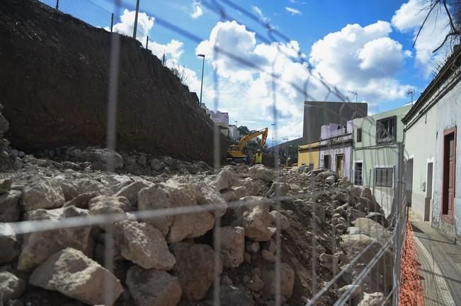 MURO ARBOL BONITO