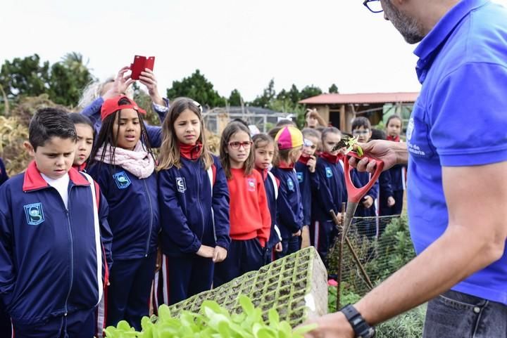 Visita escolar a la Granja Agricola del Cabildo