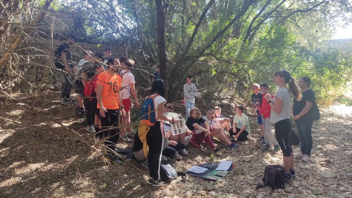 Alumnos de Llubí escuchan las explicaciones de una bióloga en el cauce del torrente de Vinagrella.