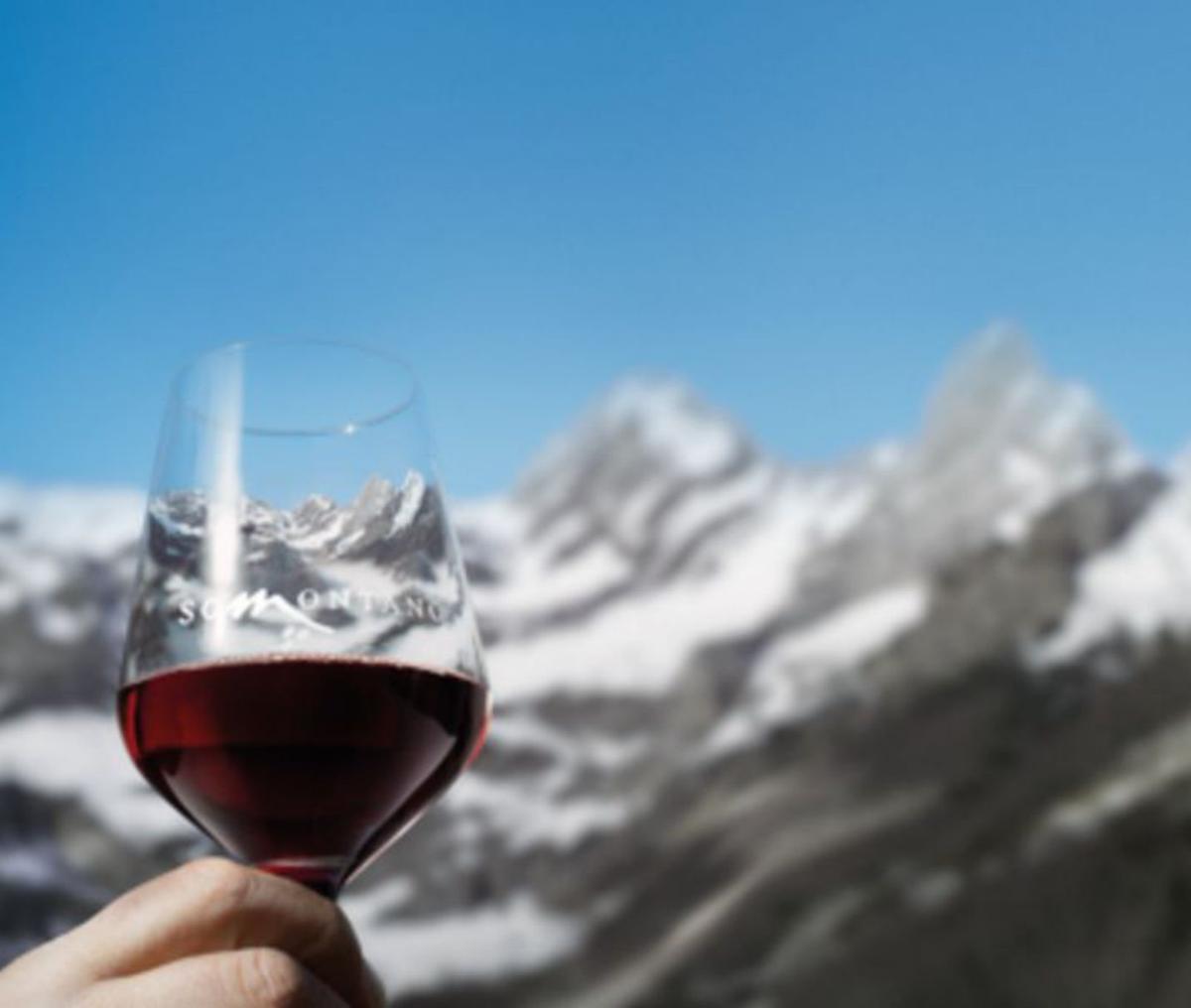 VINOS DE SOMONTANO,A LOS PIES DE LOS PIRINEOS