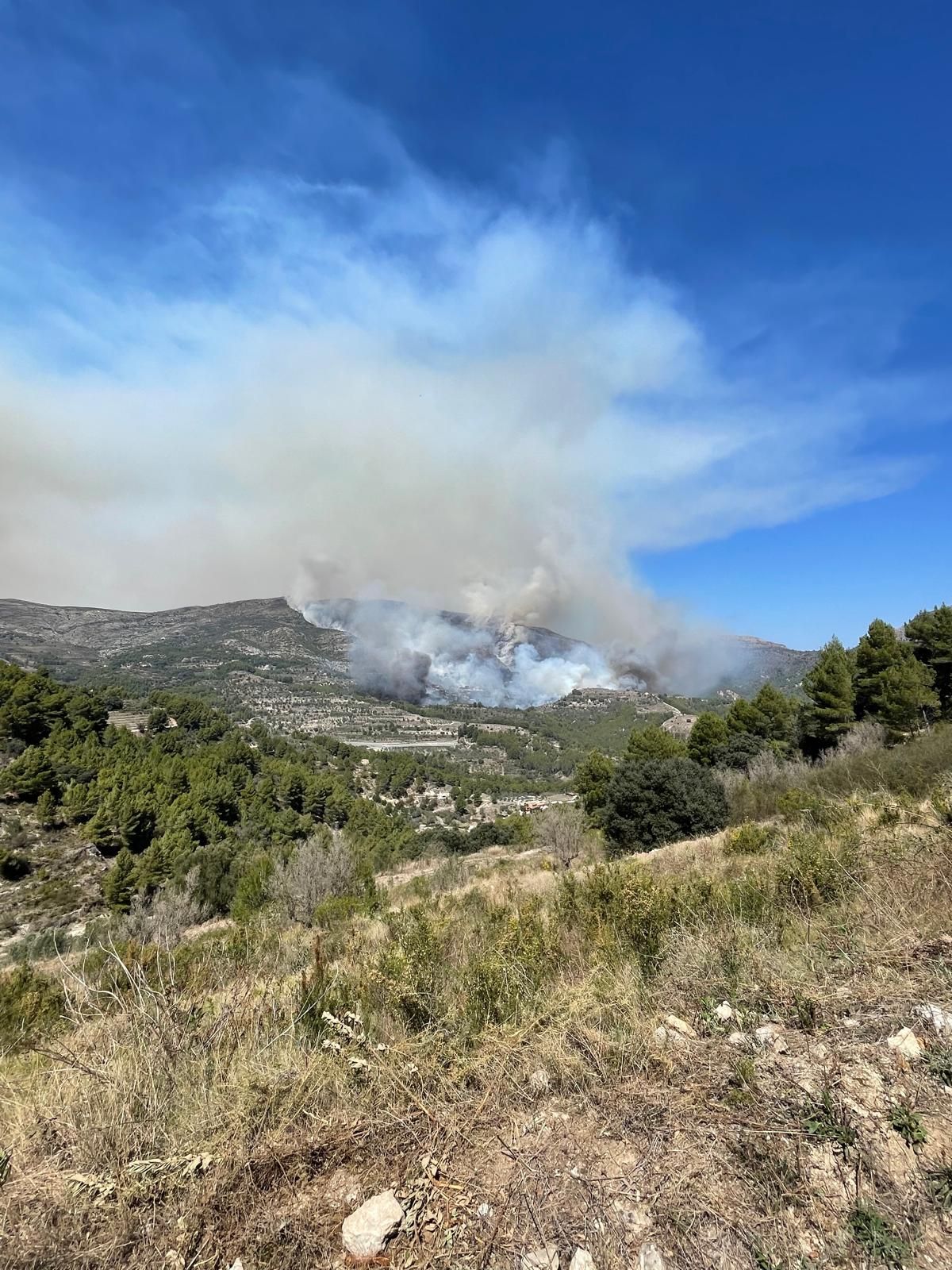 Incendio forestal en la Serra Ferrer, entre Tàrbena y Xaló