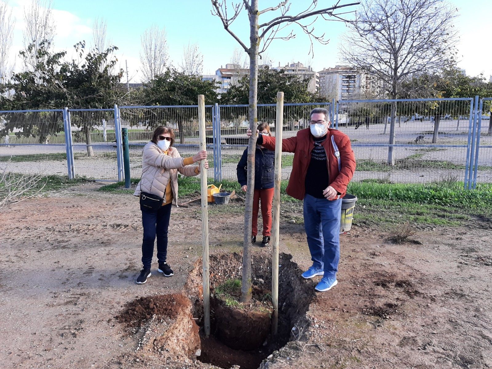 Siembra de árboles en el parque de sa Riera de Palma