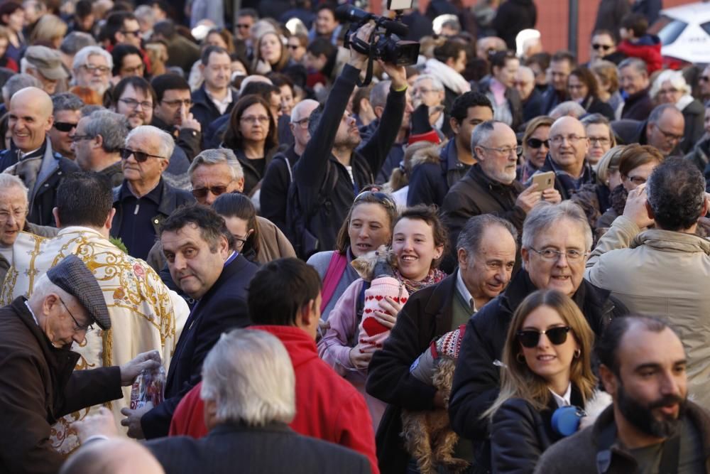 Bendición de animales por Sant Antoni del Porquet