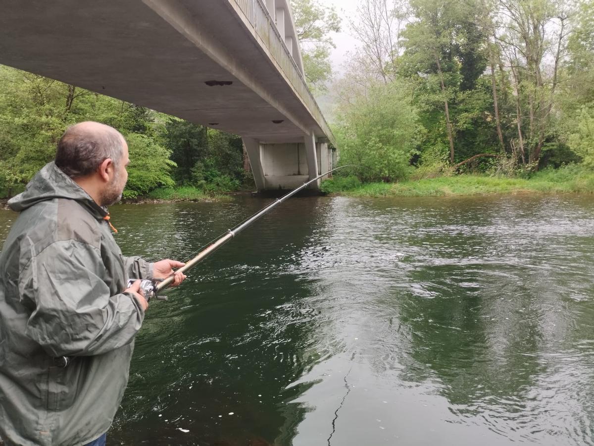 Muchos pescadores y pocos salmones en el Narcea a su paso por Salas, en imágenes Muchos pescadores y pocos salmones en el Narcea a su paso por Salas, en imágenes