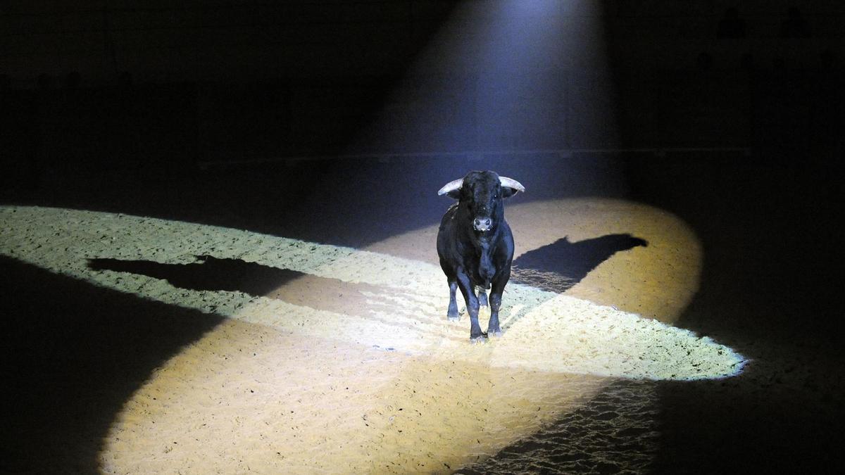 Imagen del espectáculo ‘Diez años de emociones taurinas’ preparado por el dramaturgo sevillano Salvador Távora. / Efe